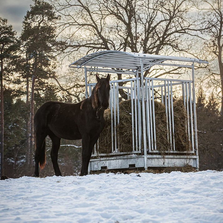 Foderhæk med gitterlåge til heste, 8 pladser