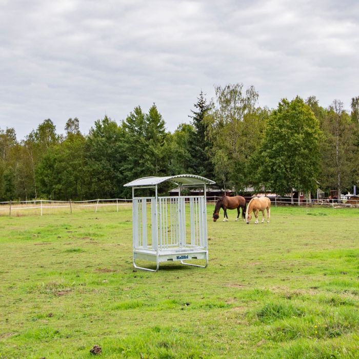 Foderhæk med gitterlåge til heste, 8 pladser