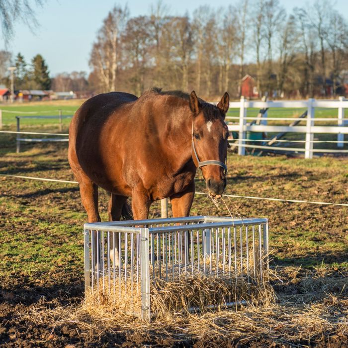 Foderboks til heste