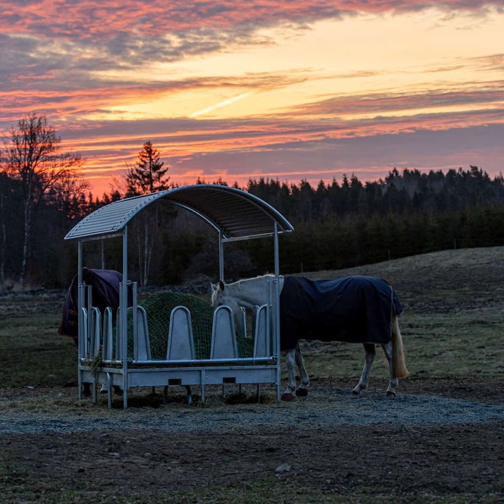 Foderhæk med tag og dækkede kirkestole til heste