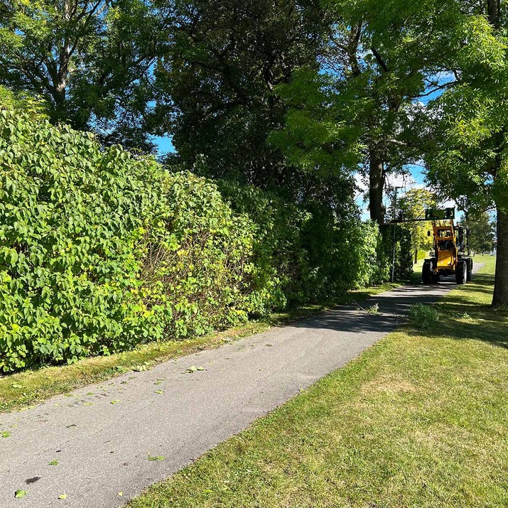 Hækkeklipper til frontlæsser med boltet Trima-beslag