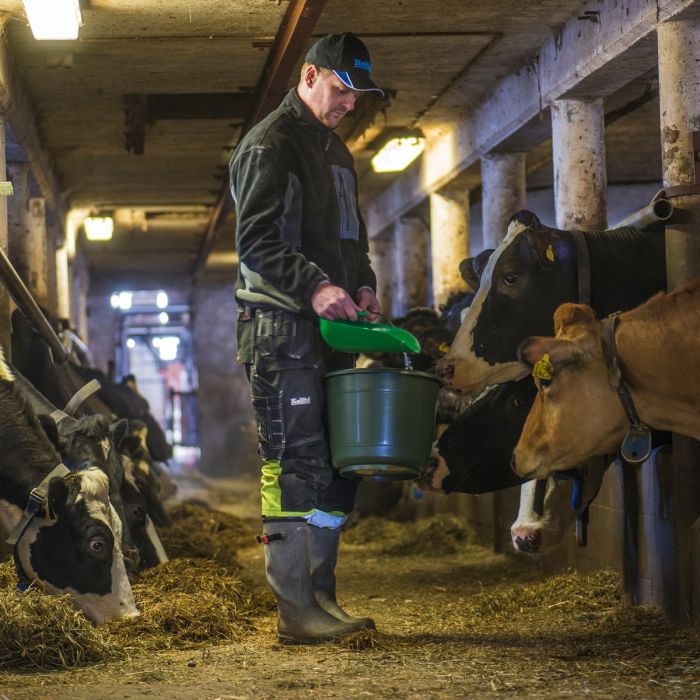 Spand med metalhåndtag 20 l