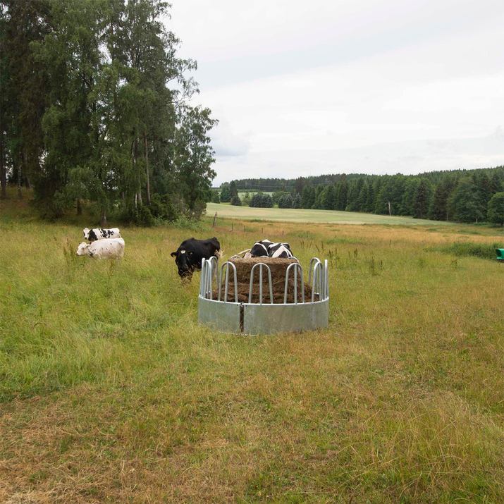 Foderhæk med kirkestole til kvæg, 12 pladser