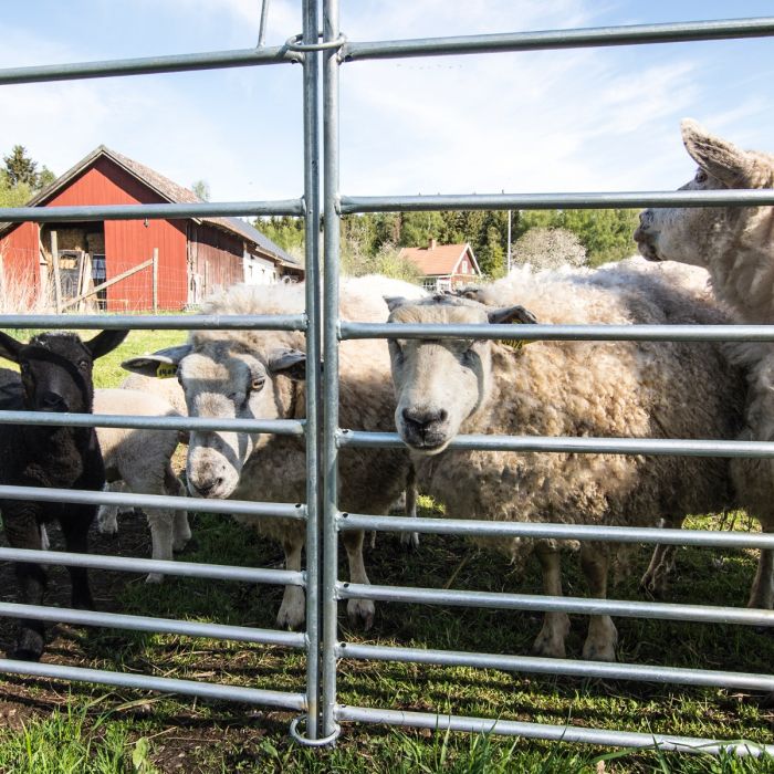 Fårelåge 1,5 m