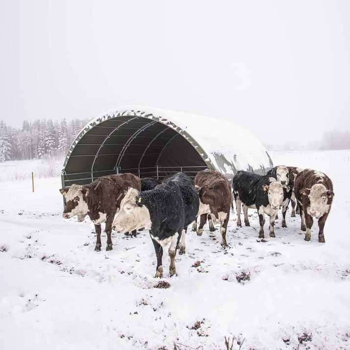 Læskur 6 x 6 m inkl. fodbukke