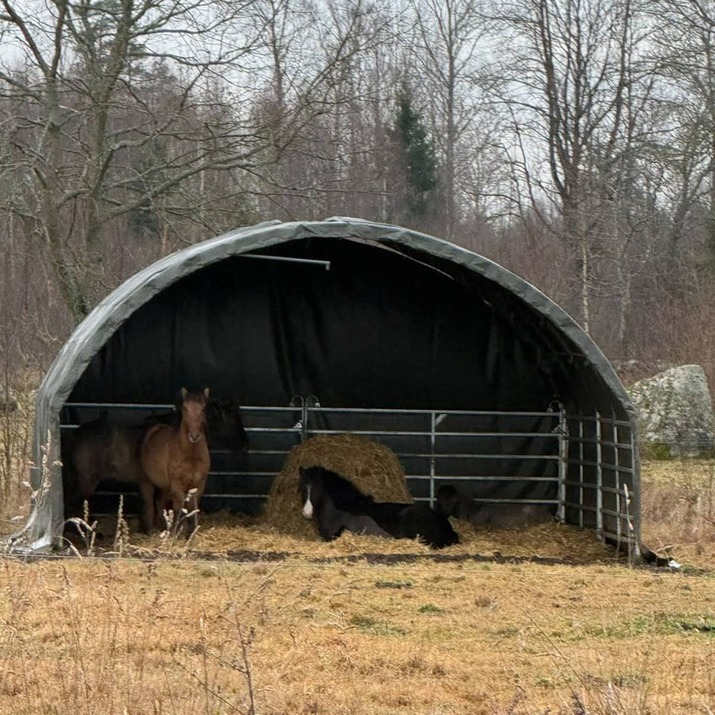 Læskur 6 x 6 m inkl. fodbukke
