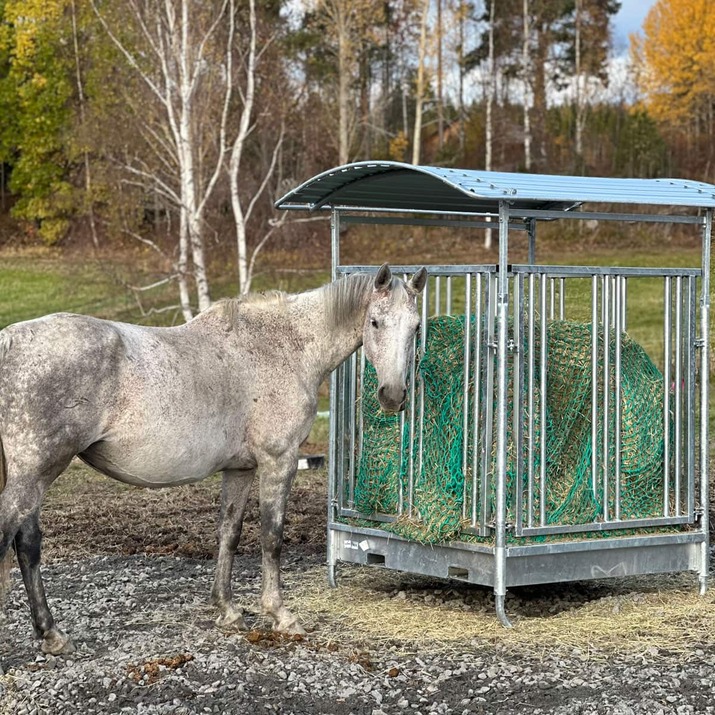 Foderhæk med gitterlåge til heste, 8 pladser