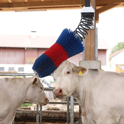 Korygbørste HappyCow FlexiSwing