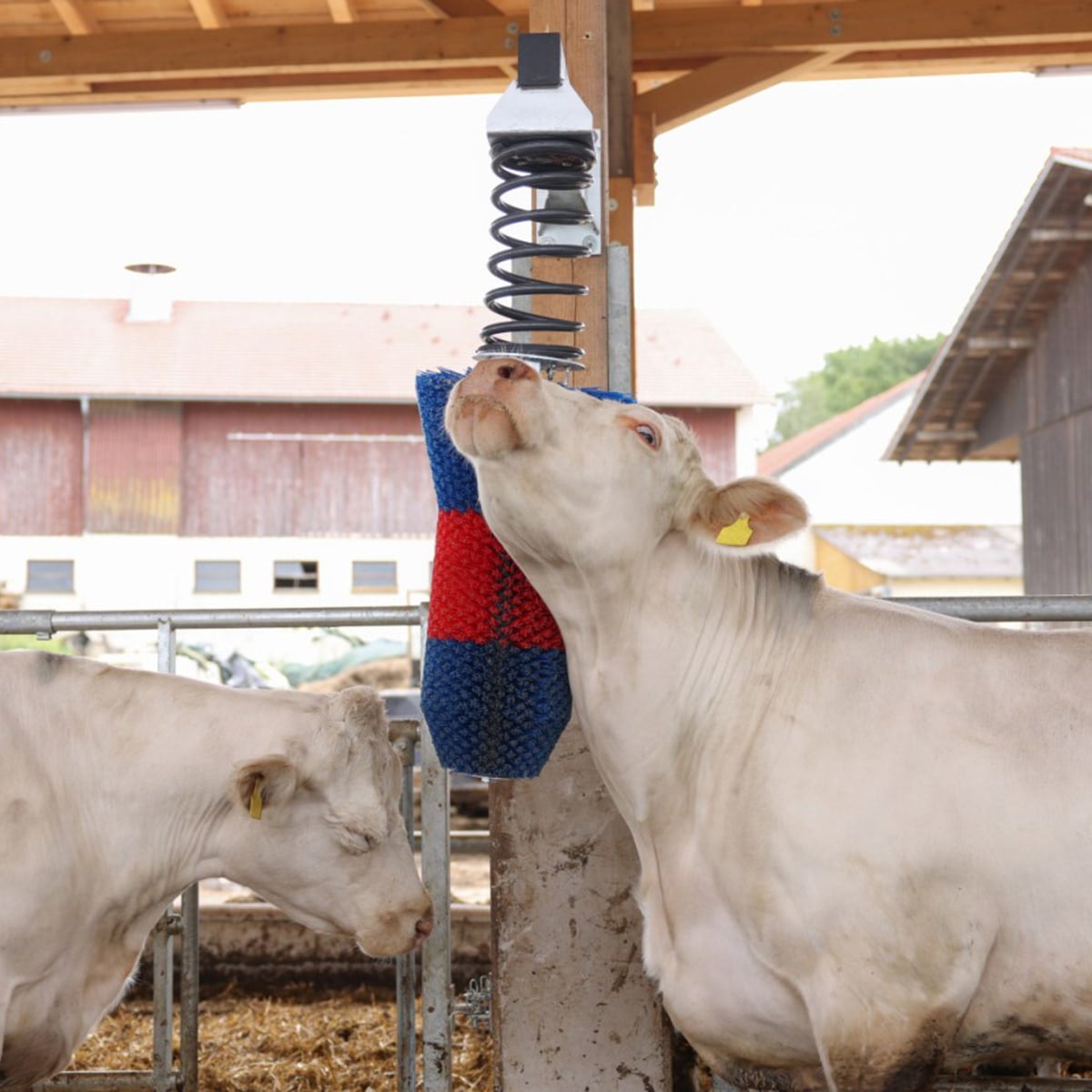 Korygbørste HappyCow FlexiSwing