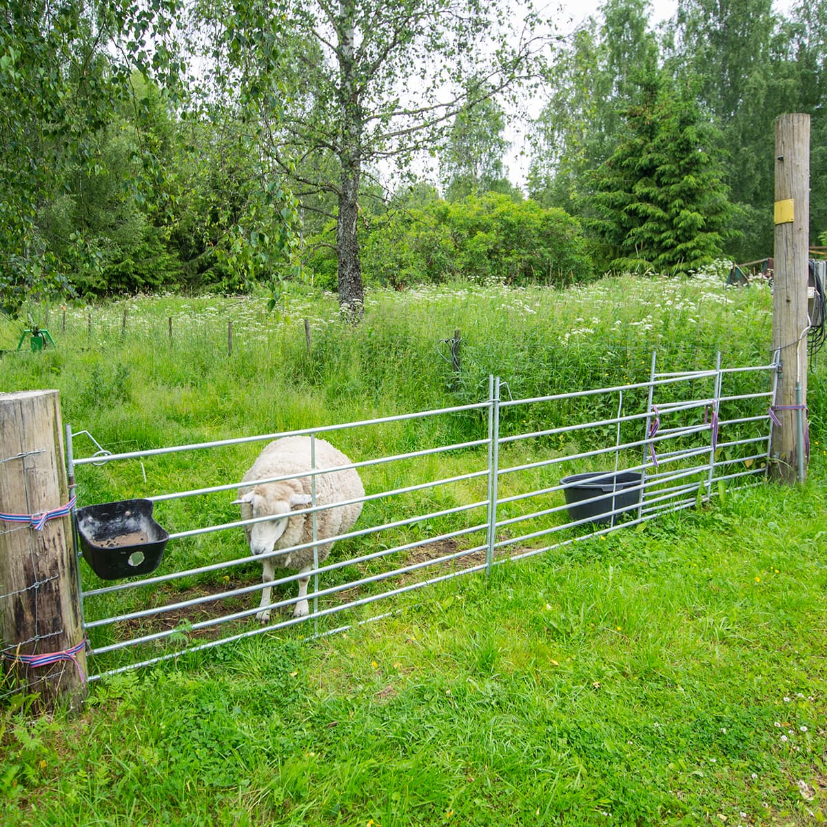 Fårelåge 2,0 m - Kellfri